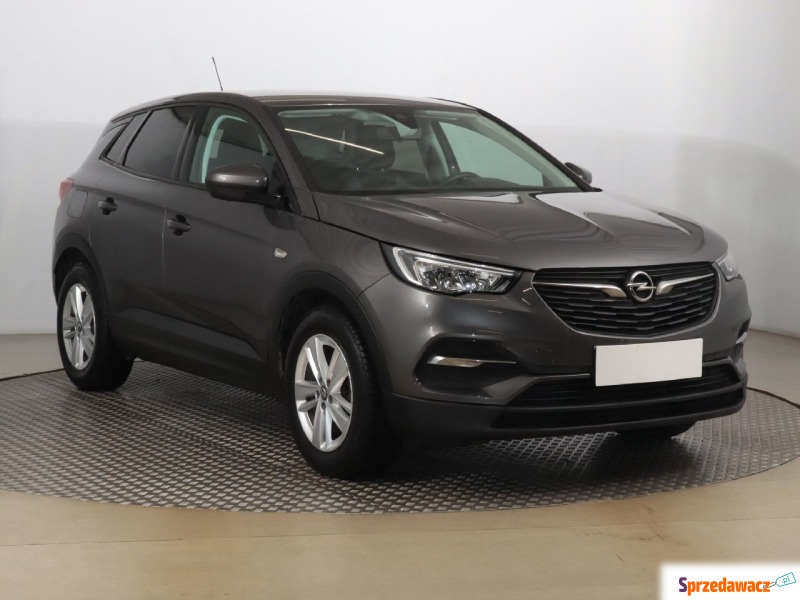 Opel Grandland 1.2 Turbo (130KM), 2020 - Samochody osobowe - Zabrze