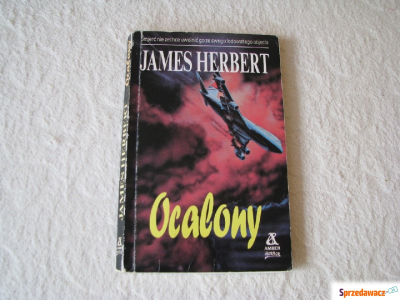 Ocalony, James Herbert, Wydanie I - Książki - Brzegi
