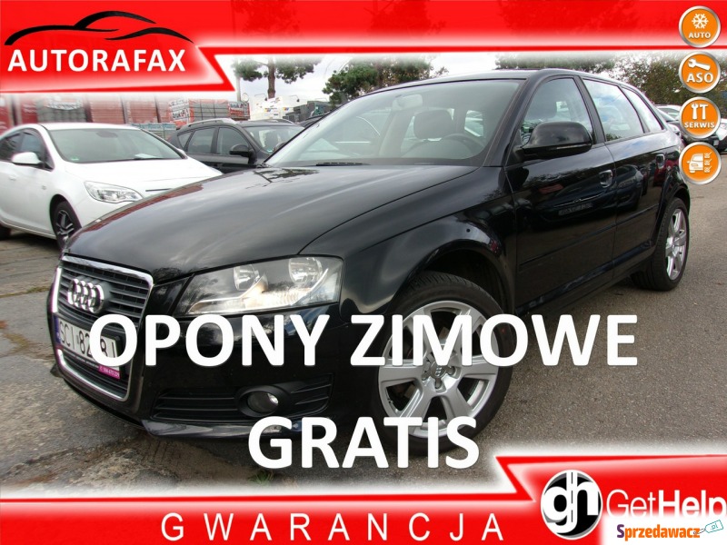 Audi A3  Hatchback 2009,  1.6 benzyna - Na sprzedaż za 29 800 zł - Cieszyn