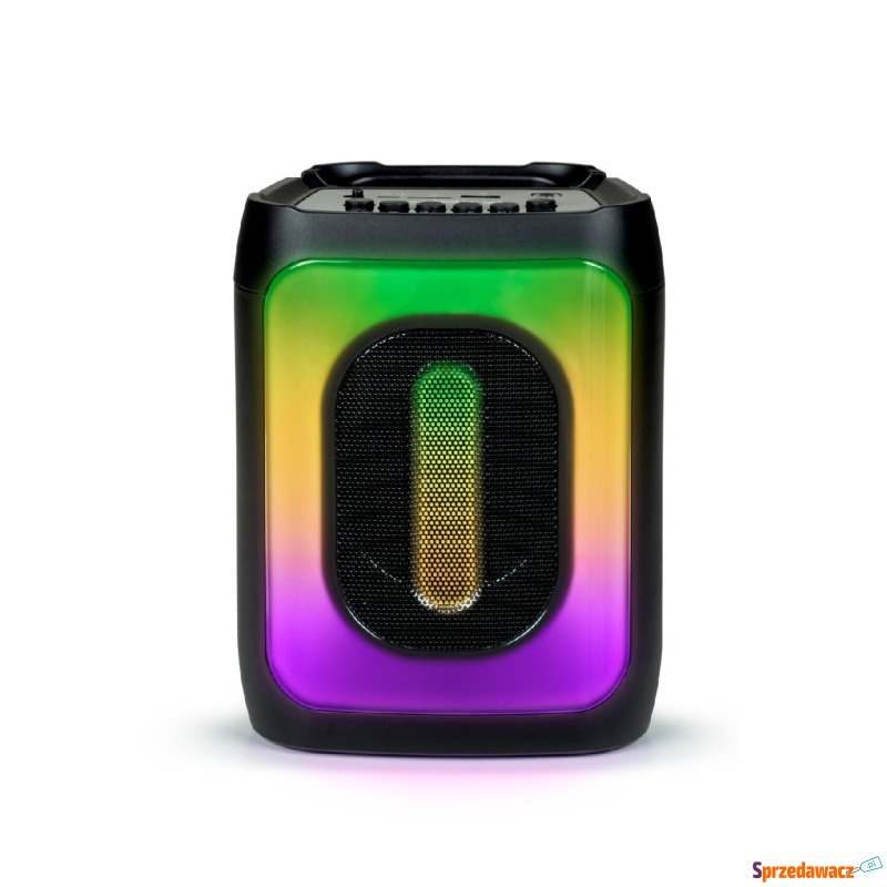 Big Ben Party Cube Bass Boost LED 30W - Głośniki - Płock