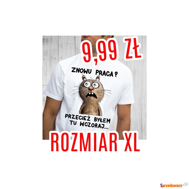 Śmieszna koszulka MĘSKA - ROZMIAR XL - TYLKO... - Koszulki męskie - Elbląg