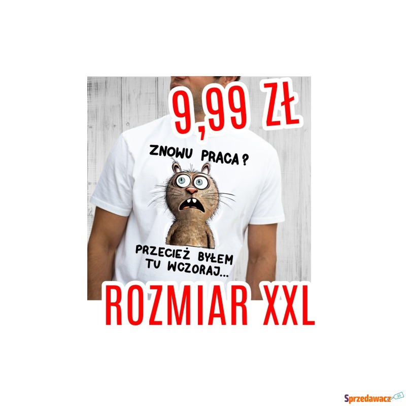 Śmieszna koszulka MĘSKA - ROZMIAR XXL - TYLKO... - Koszulki męskie - Częstochowa