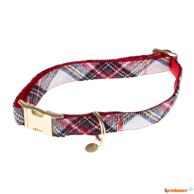 Nomad Tales Tartan: obroża, smycz, dozownik w... - Smycze i obroże - Kalisz