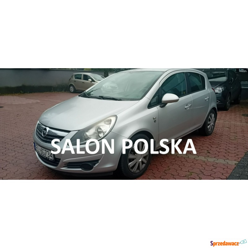 Opel Corsa  Hatchback 2010,  1.4 benzyna - Na sprzedaż za 18 900 zł - Łódź