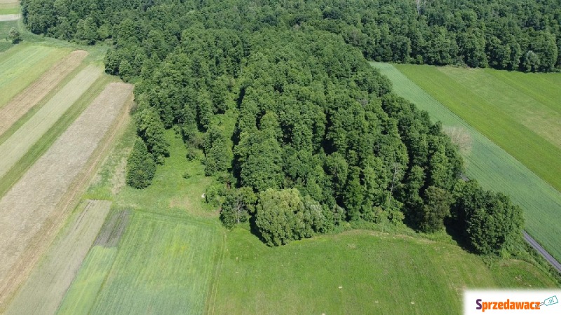 Działka leśna Ustrzesz sprzedam, pow. 6000 m2  (0.6ha)