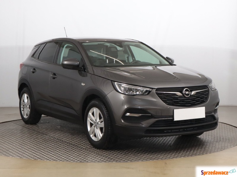 Opel   SUV 2020,  1.2 benzyna - Na sprzedaż za 70 999 zł - Zabrze