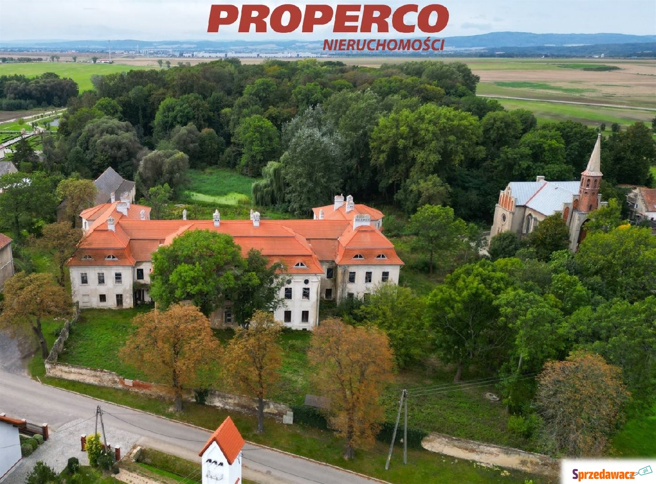 Pałac z XVII wieku, 4100 m2, park...