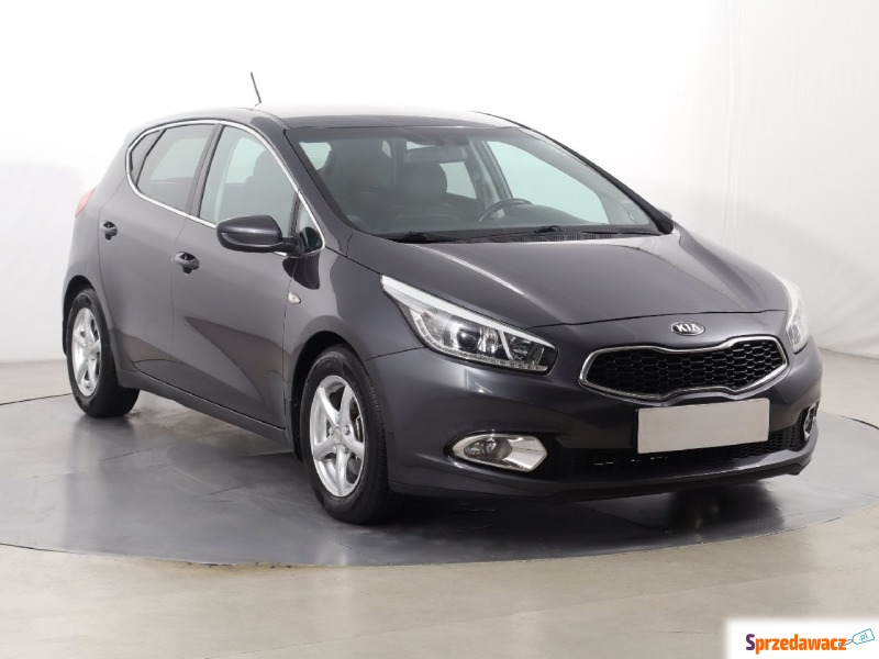 Kia Ceed  Hatchback 2014,  1.6 benzyna - Na sprzedaż za 39 999 zł - Katowice