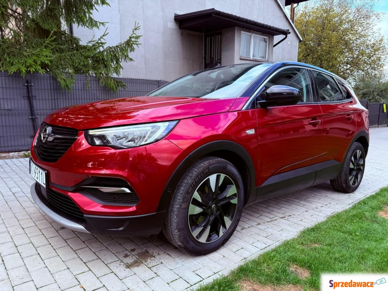 Opel Grandland X - 2.0 Diesel*Serwisowany*Gwa... - Samochody osobowe - Piekoszów