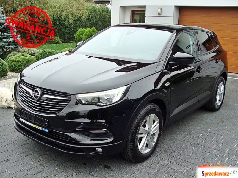 Opel Grandland X  SUV 2019,  1.5 diesel - Na sprzedaż za 67 990 zł - Zawiercie