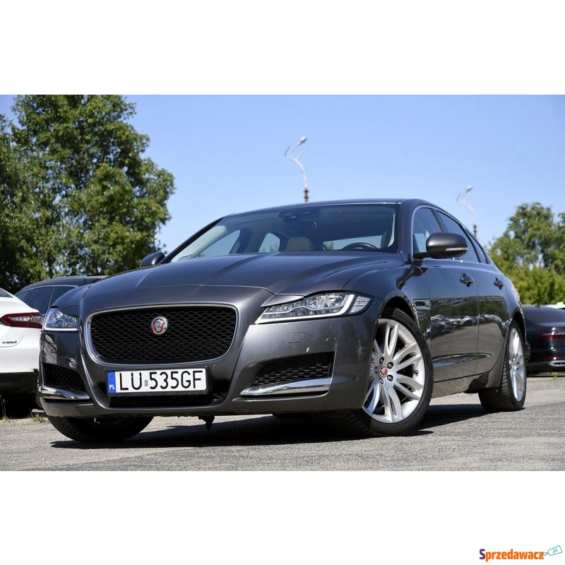 Jaguar XF 2015 prod. / 2017 1rej. SalonPL*1re... - Samochody osobowe - Warszawa