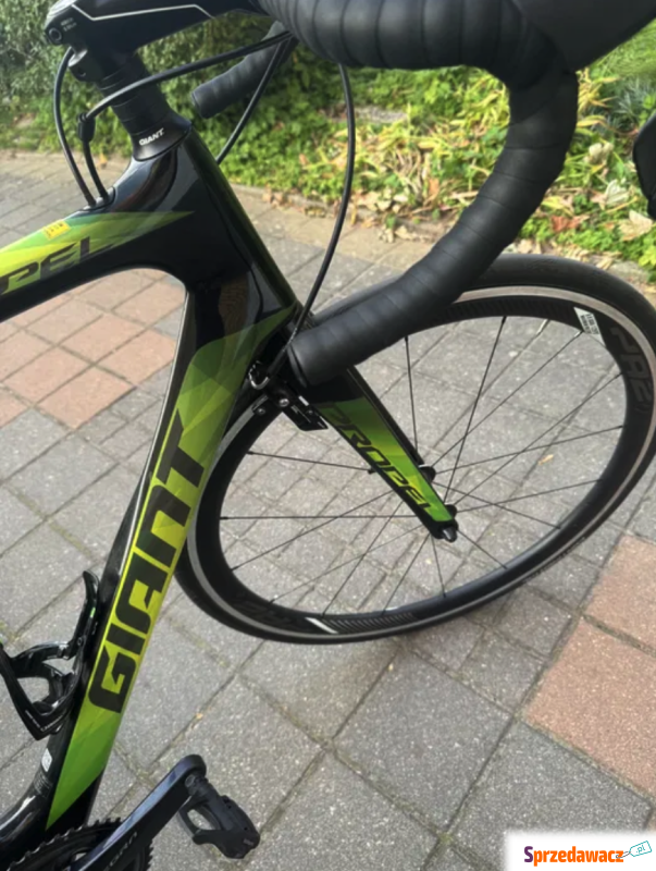 Giant Propel Advanced 1 - Rowery treningowe - Szczecin