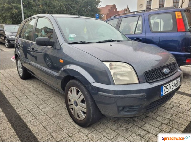 Ford Fusion  Hatchback 2003,  1.6 benzyna - Na sprzedaż za 4 300,00 zł - Stargard