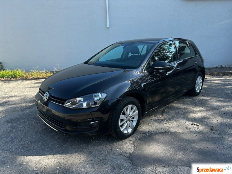 Volkswagen Golf - VII 1,6 TDI 110KM Klimatronik... - Samochody osobowe - Syców