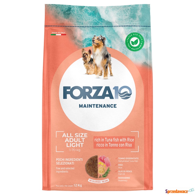 Forza 10 Maintenance Light, tu...