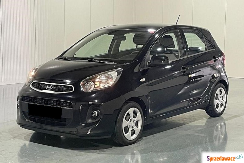 KIA Picanto 1.0 CVVT EconomyPlusLine GWARANCJA... - Samochody osobowe - Nisko