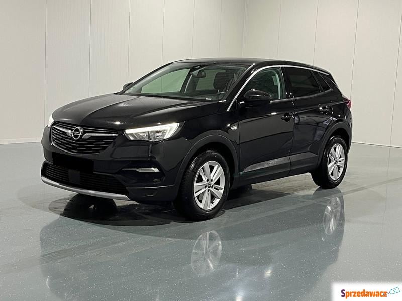 Opel Grandland X  SUV 2018,  0.1 benzyna - Na sprzedaż za 62 490 zł - Nisko