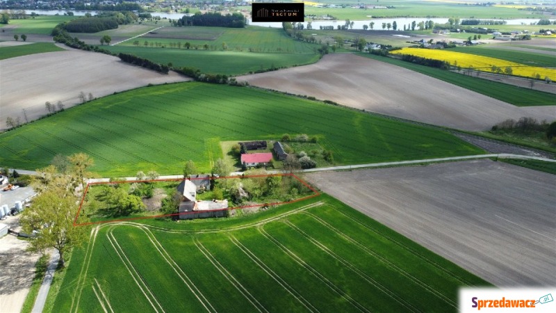 Działka Wilkowyja sprzedam, pow. 3900 m2  (39a), uzbrojona