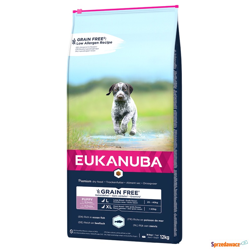 Eukanuba Grain Free Puppy Large Breed, z łososiem... - Karmy dla psów - Jelenia Góra