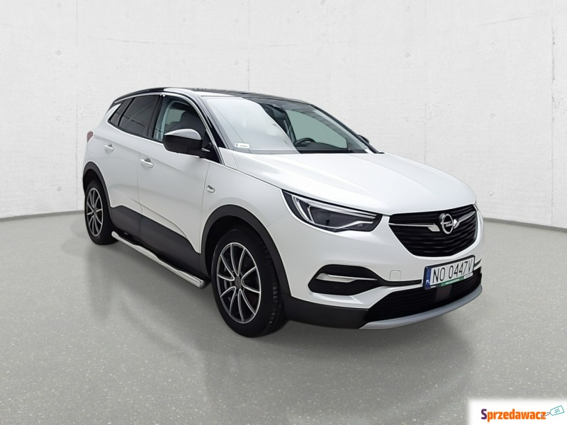 Opel Grandland X  SUV 2019,  1.6 benzyna - Na sprzedaż za 91 512 zł - Komorniki