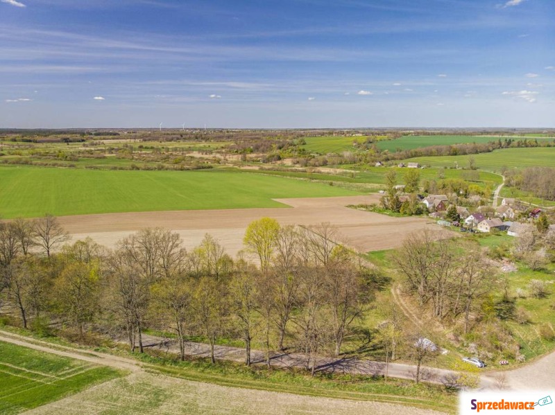 Działka budowlana na sprzedaż, 1200m², Grzmiąca - Działki na sprzedaż - Grzmiąca