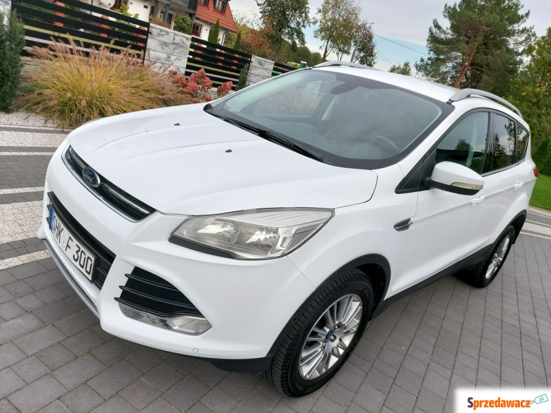 Ford Kuga - navi pdc euro 5 bez korozji import... - Samochody osobowe - Drelów