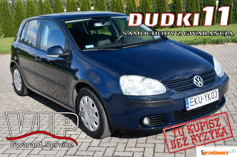 Volkswagen Golf  Hatchback 2004,  1.4 benzyna - Na sprzedaż za 10 900 zł - Kutno