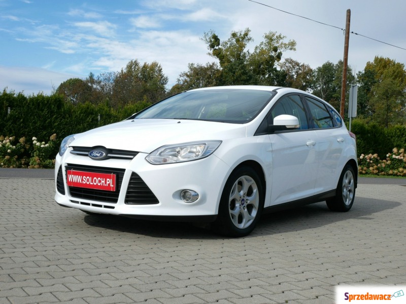 Ford Focus - 1.6 TDCi 95KM [Eu5] Hatchback +Opony... - Samochody osobowe - Goczałkowice-Zdrój