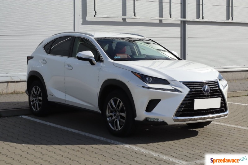 Lexus NX  SUV 2019,  2.5 benzyna - Na sprzedaż za 139 999 zł - Chorzów