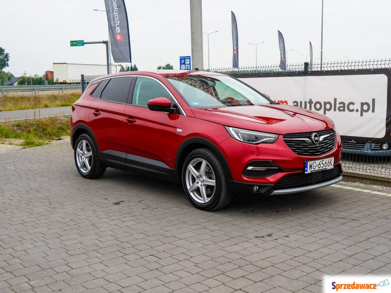 Opel Grandland X - 2021 - Samochody osobowe - Lipówki