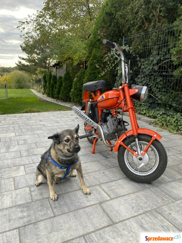 Romet inny - 1980 - Pozostałe motocykle - Poznań