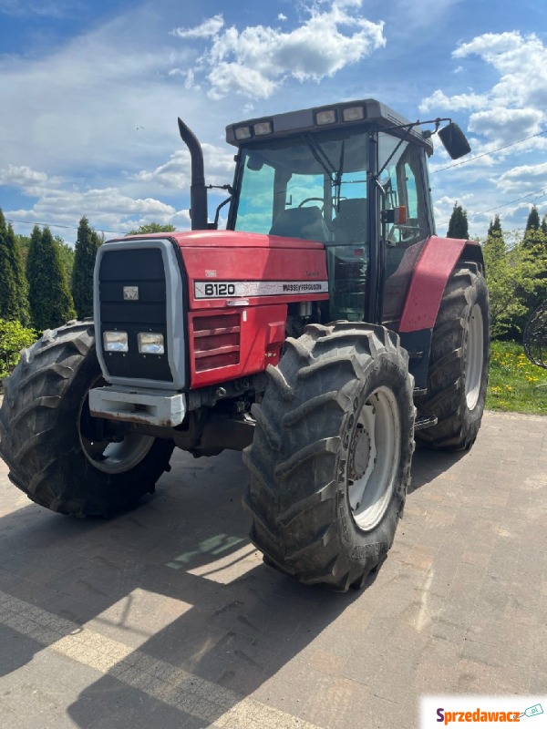 Massey ferguson 8120 - Ciągniki, traktory - Siedlce