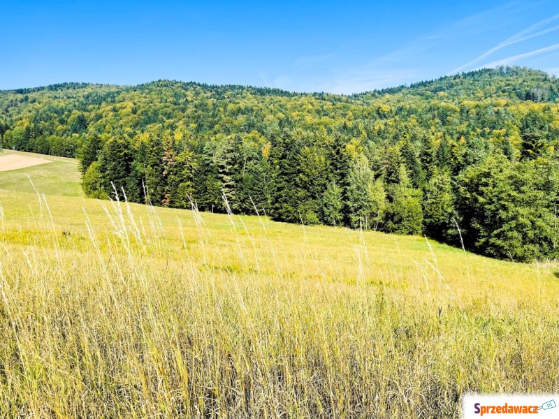 Działka rolna Żurowa sprzedam, pow. 10 000 m2  (1ha)