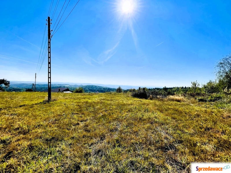 Działka budowlana Żurowa sprzedam, pow. 1800 m2  (18a)