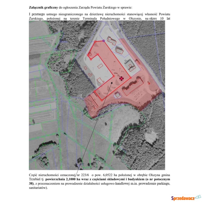 Działka komercyjna na wynajem, 21000m², Olszyna - Działki pod dzierżawę - Olszyna