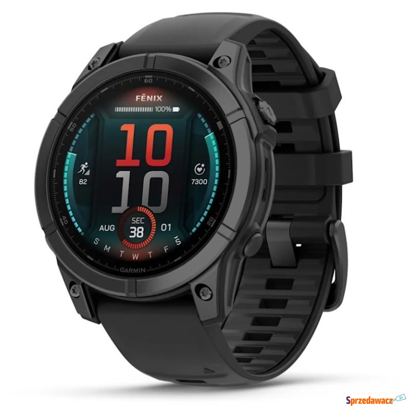 Garmin Fenix E 47mm Slate Gray - Sportowe - Grudziądz