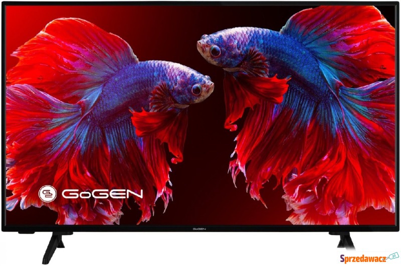 GoGEN TVF40P750T - Telewizory - Inowrocław