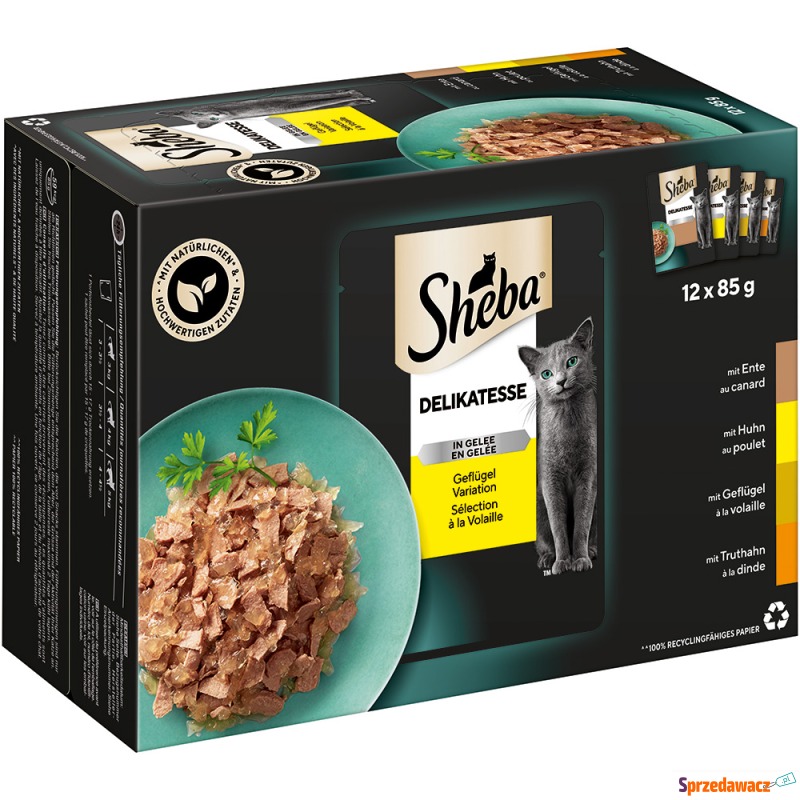 Pakiet Sheba Delicato, 24 x 85...