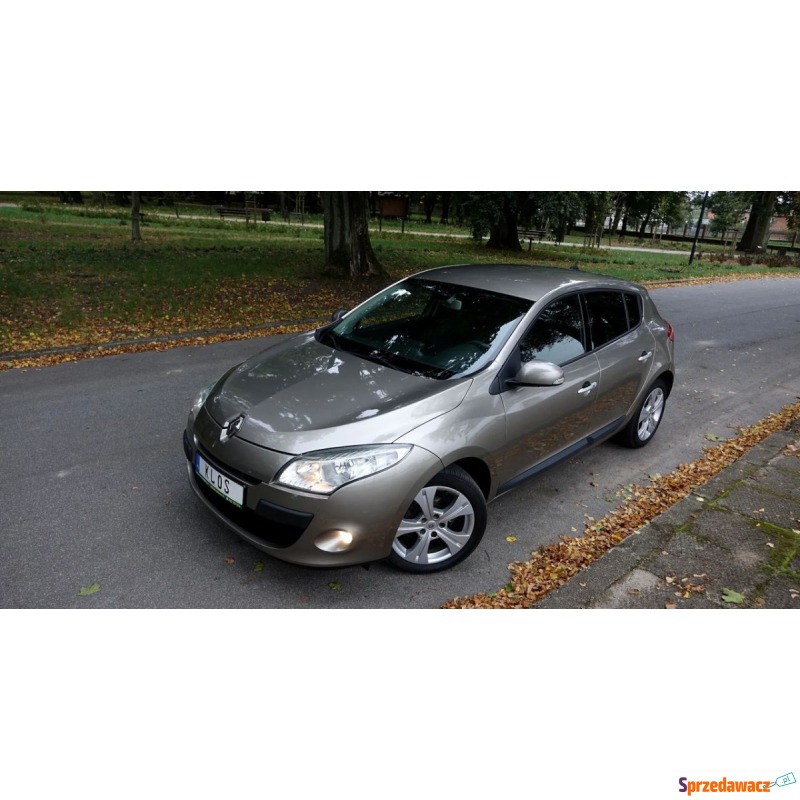 Renault Megane 2010,  1.4 benzyna - Na sprzedaż za 22 990 zł - Buczek