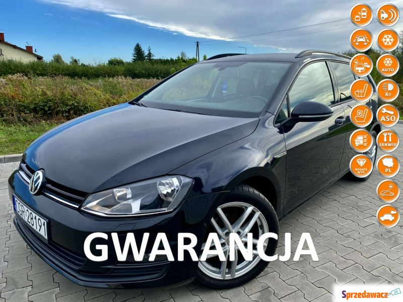 Volkswagen golf VII - Samochody osobowe - Grudziądz