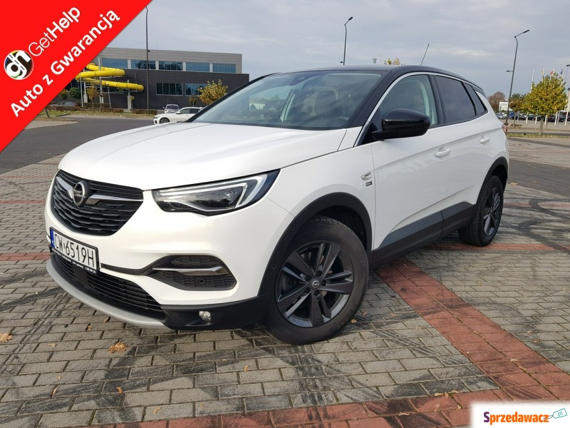 Opel Grandland X  SUV 2020,  1.5 diesel - Na sprzedaż za 64 900 zł - Włocławek