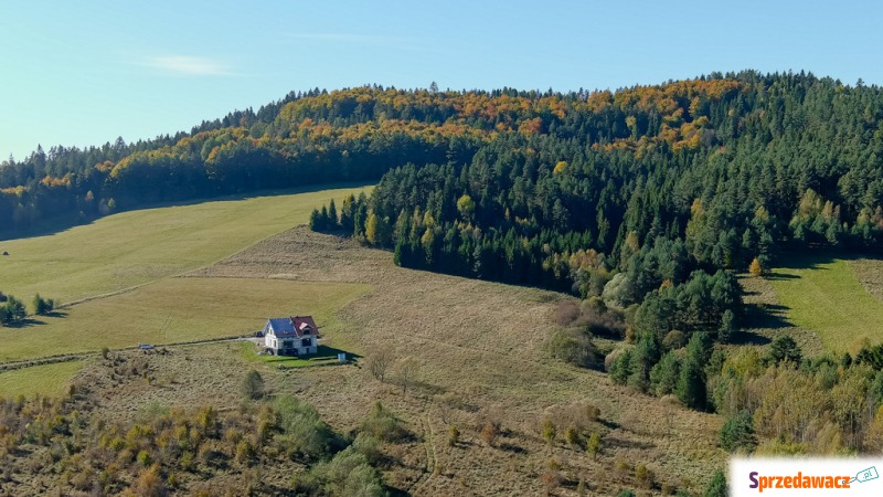 Działka budowlana Krynica-Zdrój sprzedam, pow. 1334 m2  (13.3a)