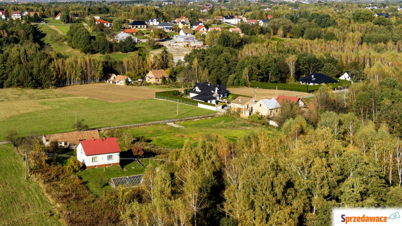 Działka budowlana Rzuchowa sprzedam, pow. 1100 m2  (11a)