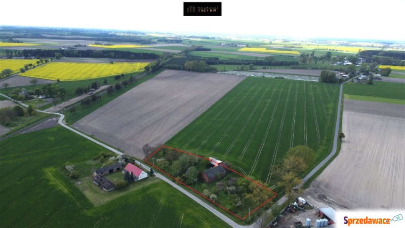 Sprzedam dom Wilkowyja - ,  pow.  100 m2,  działka:   4500 m2