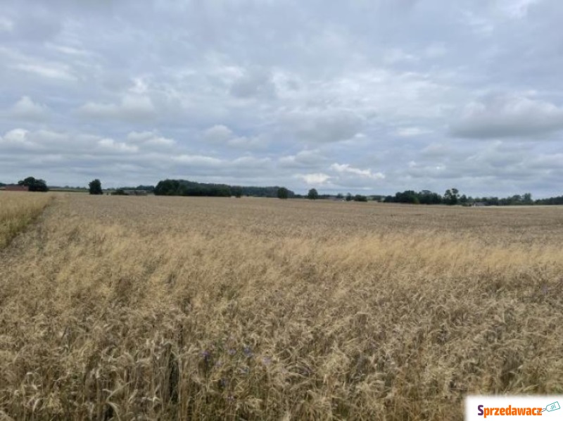 Działka rolna na sprzedaż, 1807m², Pobłocie - Działki na sprzedaż - Pobłocie