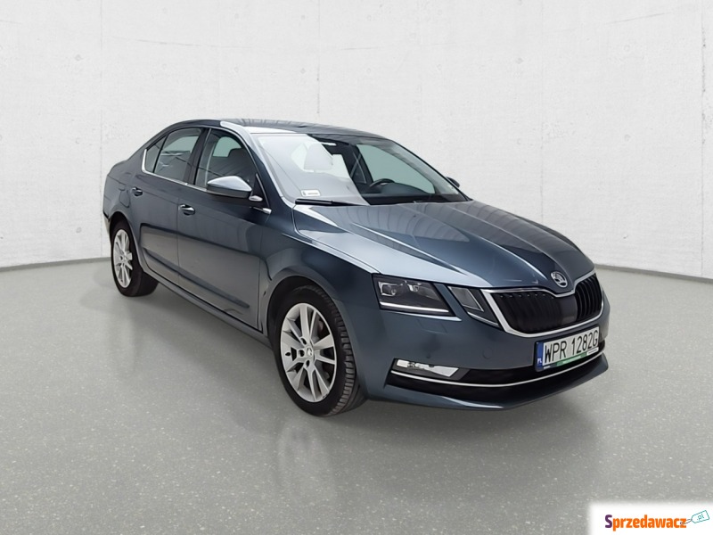 Skoda Octavia  Liftback 2019,  2.0 diesel - Na sprzedaż za 41 943 zł - Komorniki