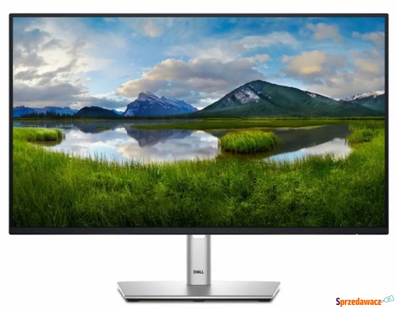 Dell P2425HE - 24'' | IPS | Full HD | 100Hz - Monitory LCD i LED - Rybnik