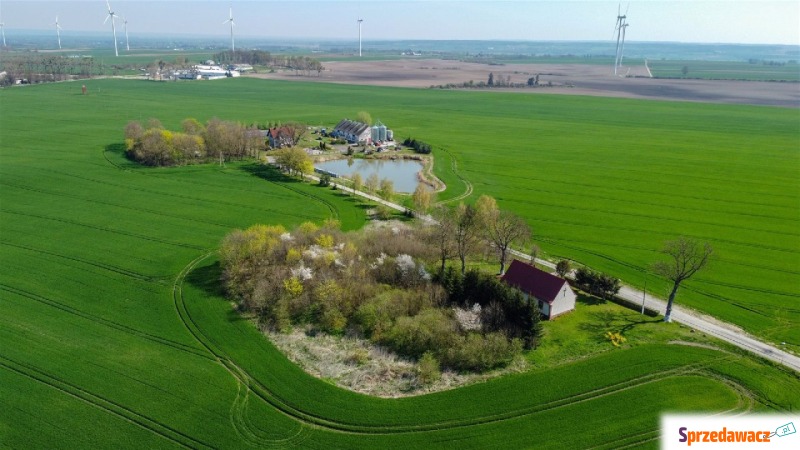 Działka budowlana Bruk sprzedam, pow. 4600 m2  (46a), uzbrojona