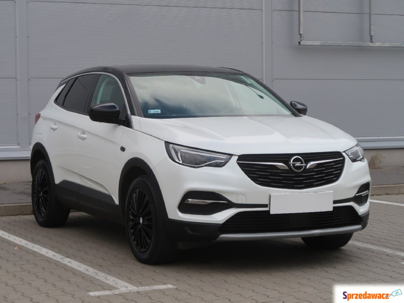 Opel   SUV 2018,  1.2 benzyna - Na sprzedaż za 74 999 zł - Słupsk