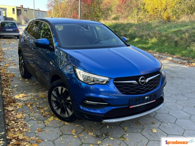 Opel Grandland X  SUV 2018,  1.6 diesel - Na sprzedaż za 67 999 zł - Gostyń